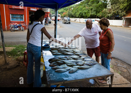 Jeune fille vendant du poisson frais à partir d'un blocage de la route à l'Ile Maurice Banque D'Images