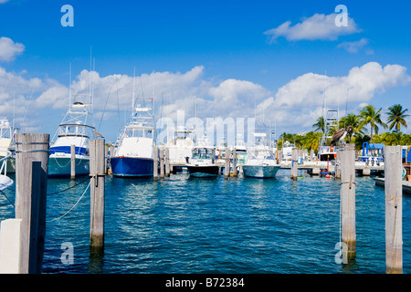 Palm Beach Shores , Marina , Moteur d'alimentation de la pêche de poissons jeu bateaux amarrés à quai , pelican sur perche , ciel bleu et nuages Banque D'Images