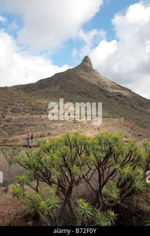 Marcher en dessous de la Roque de Imoque à Arona avec arbuste Tabaiba au premier plan Tenerife Espagne Banque D'Images