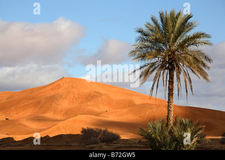 Dunes dans l'Erg Chebbi, Merzouga, Maroc Banque D'Images