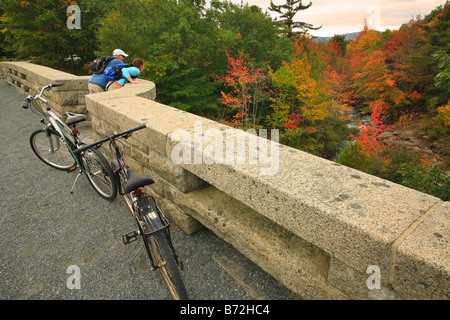 Le pont du ruisseau de canard, route, l'Acadia National Park, Maine, USA Banque D'Images