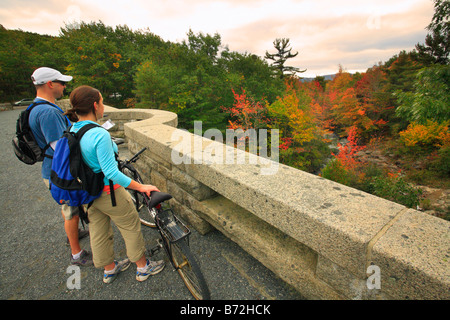 Le pont du ruisseau de canard, route, l'Acadia National Park, Maine, USA Banque D'Images