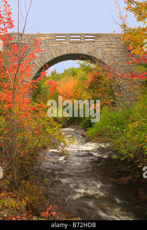 Le pont du ruisseau de canard, route, l'Acadia National Park, Maine, USA Banque D'Images