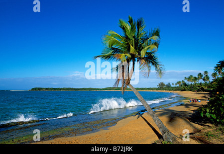 Tres Palmitas Beach Loiza Porto Rico Caraïbes Banque D'Images