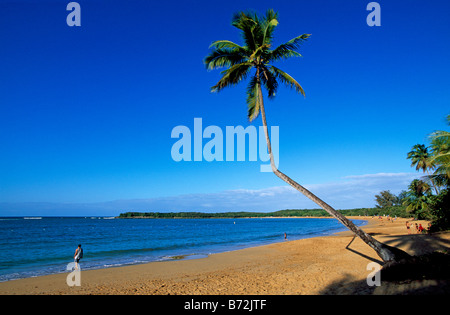 Tres Palmitas Beach Loiza Porto Rico Caraïbes Banque D'Images