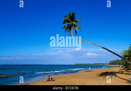 Tres Palmitas Beach Loiza Porto Rico Caraïbes Banque D'Images