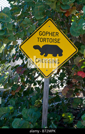 Gopher Tortoise crossing sign, en Floride, aux États-Unis. Banque D'Images