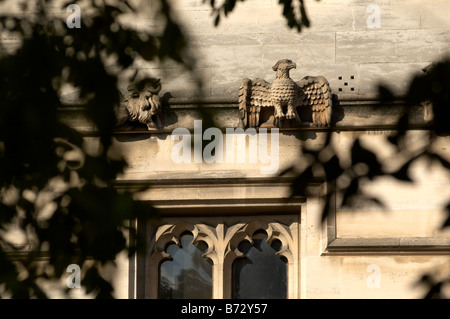 Gargouille de l'aigle sur mur Magdalen College visible de High street et jardin botanique en Oxford. Banque D'Images