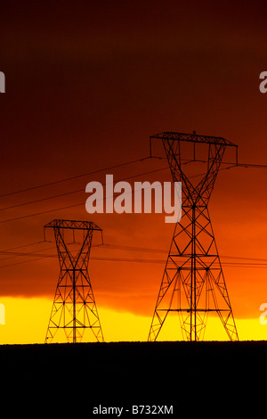 Pylônes et lignes électriques au coucher du soleil. Nouvelle Zélande, île du Nord, du Plateau, route du désert. Banque D'Images