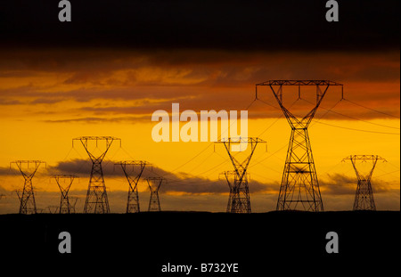 Pylônes et lignes électriques au coucher du soleil. Nouvelle Zélande, île du Nord, du Plateau, route du désert. Banque D'Images