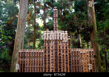 Un tombeau en bois au cimetière Okunoin sur le Mont Koya dans Koyasan, Wakayama, Japon. Banque D'Images