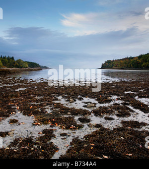 Marée basse le long de la côte de la mer de l'Acadia National Park, Maine, USA Banque D'Images