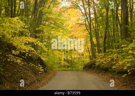 MICHIGAN - scène d'automne le long de la route de Little Beaver Lake dans la région de Pictured Rocks National Lakeshore. Banque D'Images