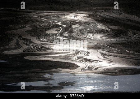 Huile flottant sur l'eau par le soleil en contre-jour dans un port dans le comté de Down en Irlande du Nord UK Banque D'Images