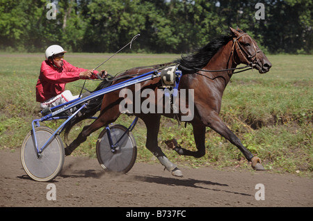 Courses de chevaux trotter faisceau événement tenu atTambov Banque D'Images