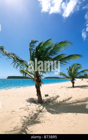 Sun Bay Beach sur l'île de Vieques Puerto Rico Caraïbes Banque D'Images