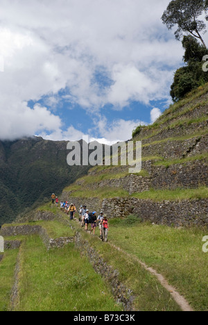 Un groupe touristique marche à travers les terrasses Incas antiques dans le cadre de l'Inca vers le Machu Pichu Banque D'Images