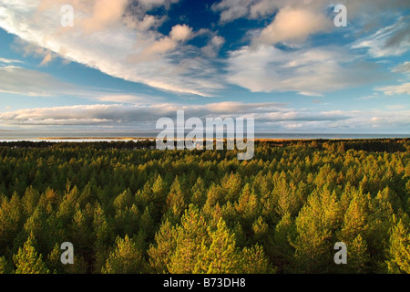 Tour de la forêt de Culbin à Colline 99, près de Forres, Moray, Ecosse Shire Banque D'Images