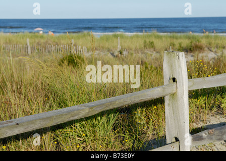 Plage avec herbes protégées sur les dunes pour stabilzation et la préservation de l'érosion, Avalon, New Jersey. Banque D'Images