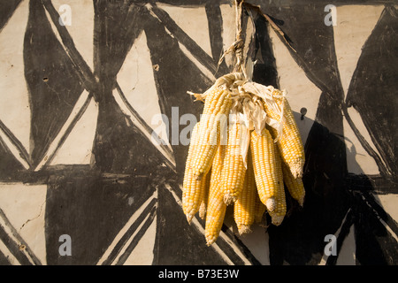 Le maïs accroché sur mur de boue dans les bâtiments peints Tiebele Banque D'Images