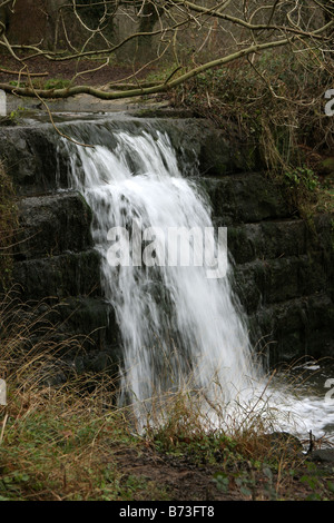 Roche de la vallée de l'abbaye près de Maltby South Yorkshire Angleterre GO UK 2008 Banque D'Images