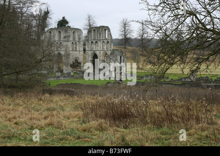 Roche de la vallée de l'abbaye près de Maltby South Yorkshire Angleterre GO UK 2008 Banque D'Images