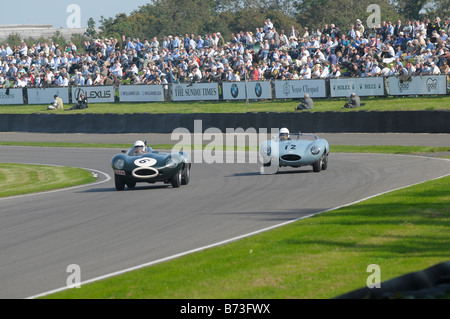 Goodwood Revival meeting septembre 2008 Banque D'Images