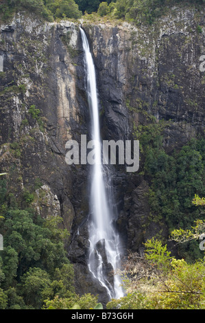 Chutes de la rivière Elands Ellenborough près de plus grande région Taree Australie Nouvelle Galles du Sud Banque D'Images