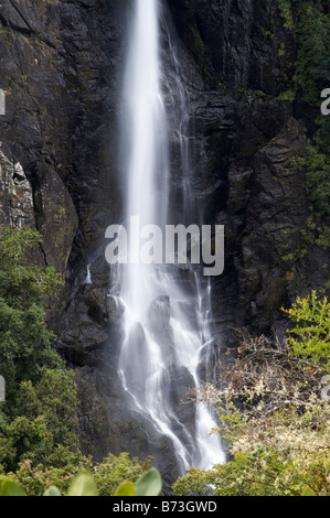 Chutes de la rivière Elands Ellenborough près de plus grande région Taree Australie Nouvelle Galles du Sud Banque D'Images
