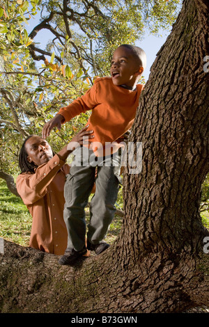 African American father helping son climb tree in park Banque D'Images