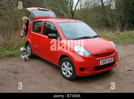 Roche de la vallée de l'abbaye près de Maltby South Yorkshire Angleterre GO UK 2008 Banque D'Images