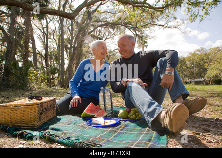Senior couple having picnic in park Banque D'Images