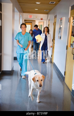 Balades en famille et vétérinaire chien vers le bas du couloir de la clinique Banque D'Images