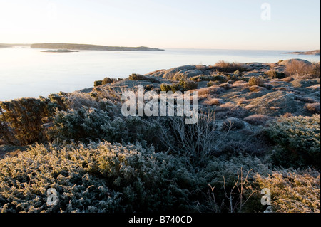 Littoral, péninsule Onsala, Suède Banque D'Images