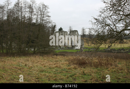 Roche de la vallée de l'abbaye près de Maltby South Yorkshire Angleterre GO UK 2008 Banque D'Images