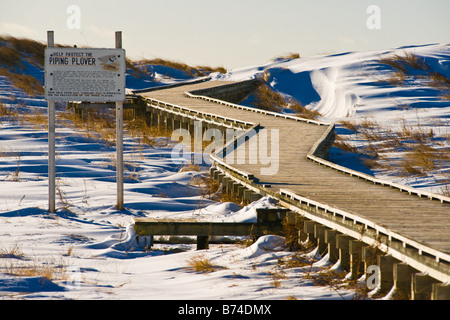Zig zags d'une promenade dans la neige-couvertes de dunes de sable sur une plage, avec un signe sur le pluvier siffleur, espèce en voie de disparition. Banque D'Images