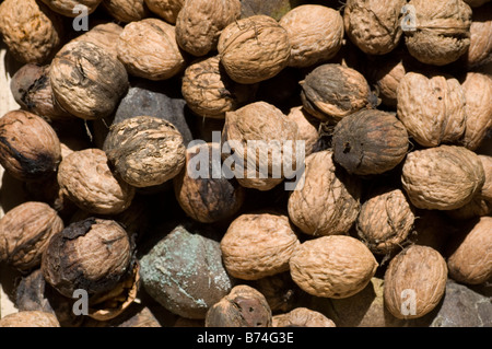 Close up of fresh Juglans regia dans Moyen-orient Liban marché Banque D'Images