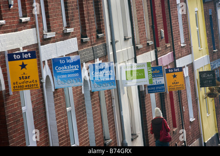 De nombreux signes de 'Let' sur une rue à Exeter Banque D'Images