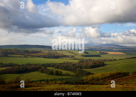 Vue vers l'Cheviots près de Northumberland England Edlingham Banque D'Images