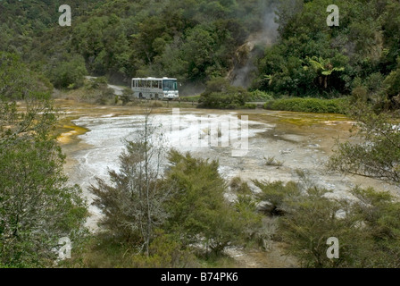 La vallée volcanique de Waimangu près de Rotorua, Nouvelle-Zélande Banque D'Images
