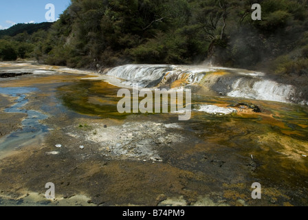 L Warbrick Terrace à la Vallée volcanique de Waimangu près de Rotorua, Nouvelle-Zélande Banque D'Images