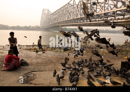 Un troupeau de pigeons décolle près du pont Howrah à Kolkata, Inde. Banque D'Images