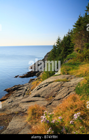 Tête brûlée, tête brûlée, Sentier Monhegan Island, Maine, USA Banque D'Images