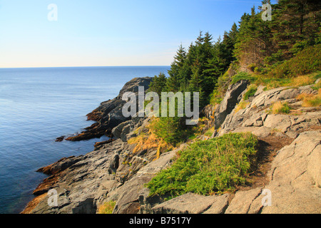 Tête brûlée, tête brûlée, Sentier Monhegan Island, Maine, USA Banque D'Images