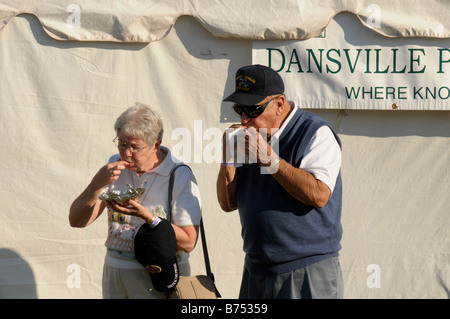 Senior couple having un snack au festival de ballons. Banque D'Images