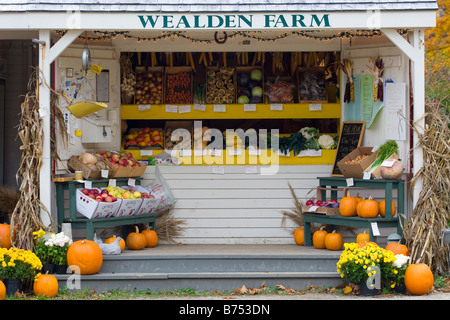 Un stand de légumes dans le Maine Banque D'Images