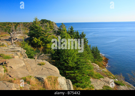 Tête brûlée, tête brûlée, Sentier Monhegan Island, Maine, USA Banque D'Images