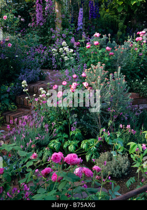 Rose et mauve romantique jardin border Banque D'Images