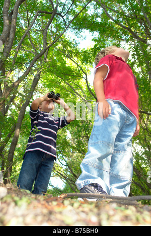 Quatre et six ans frères être orienté vers le haut, sur un sentier de randonnée en forêt, Winnipeg, Canada Banque D'Images