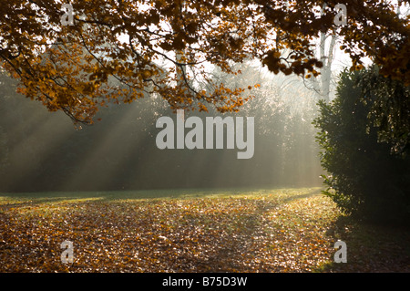 Les rayons de lumière en Park, Sydney Gardens , Bath, Royaume-Uni Banque D'Images